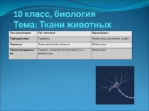 10 класс, биология Тема: Ткани животных