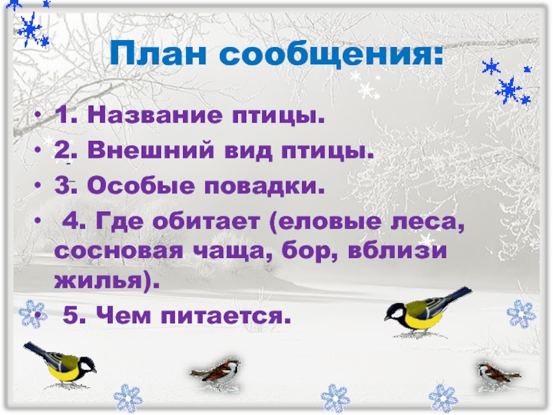 Птице план. План про птиц. План сообщения о птицах. Повадки птиц. Повадки птиц 3 класс.