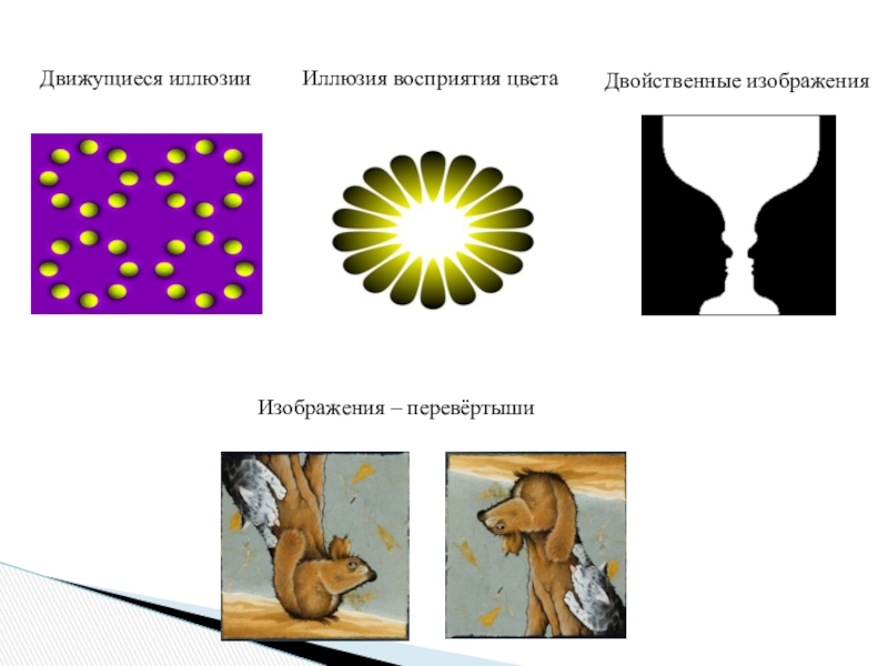 Иллюзия восприятия в психологии примеры в картинках