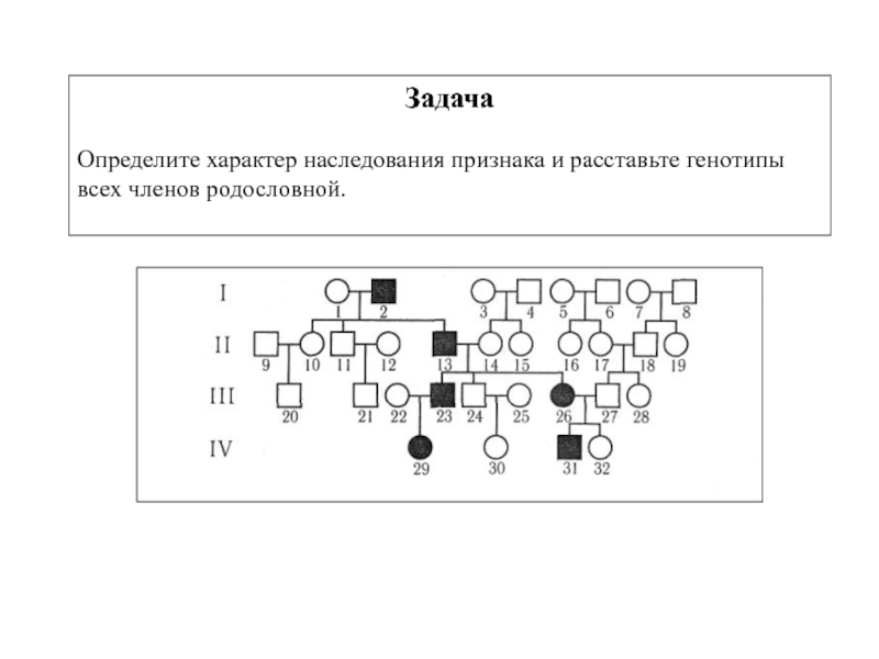 Изучите схему и определите тип наследования признака поясните определите генотипы 1234