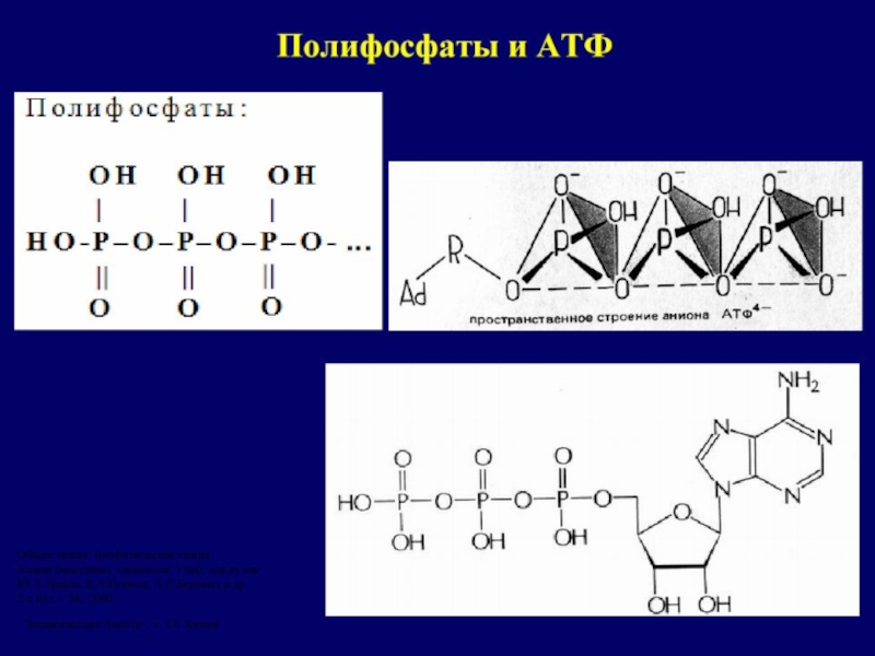 Презентация по химическому элементу