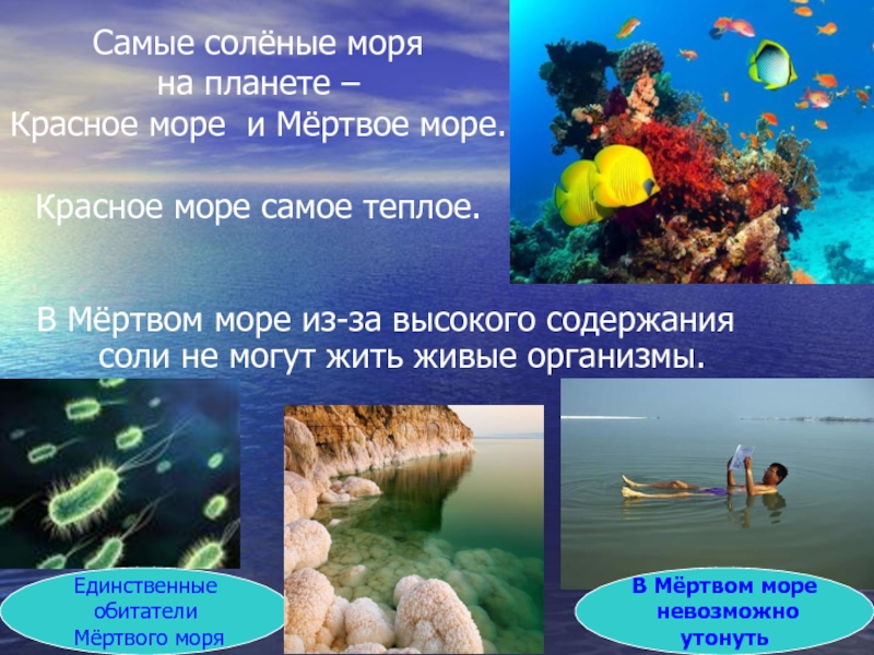 План описания красного моря