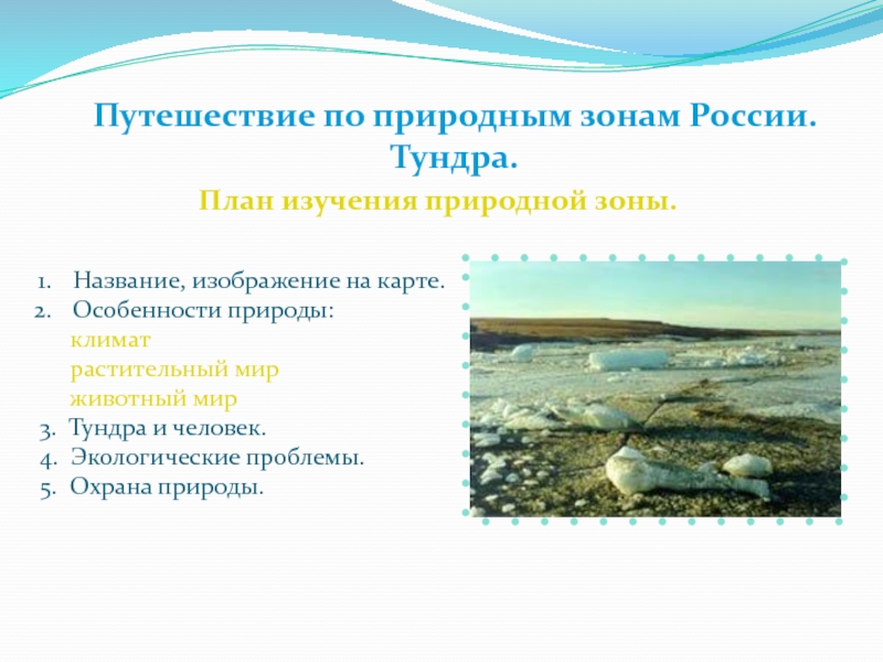 Презентация Путешествие по природным зонам России