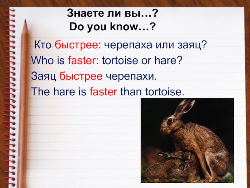 Https is faster. Кто быстрее заяц или черепаха. Кто быстрее зайца. Who is faster. Кто быстрее черепаха или заяц философия.
