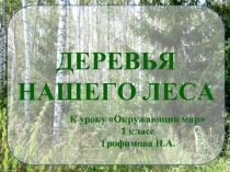 Деревья нашего леса 1 класс