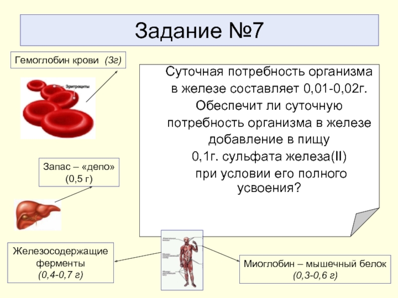 Обеспечивает ли