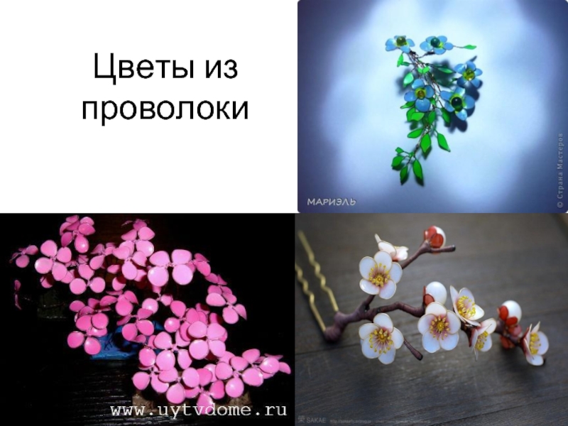 Презентация Цветы из проволоки