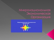 Микронациональная Экономическая Организация