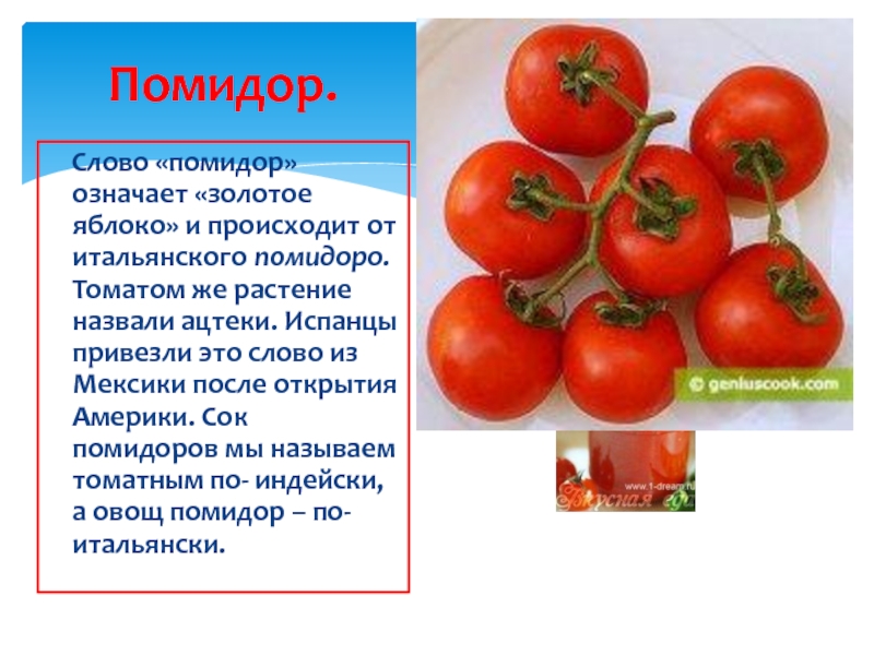 Состав слова помидор. Томаты слово. Растения путешественники помидор. Значение томата. Текст про помидор.