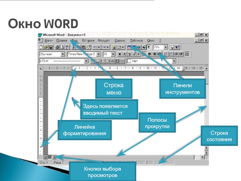 Презентация на тему microsoft word