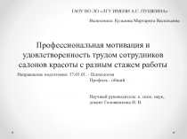Выполнила: Кулькова Маргарита Васильевна
Профессиональная мотивация и