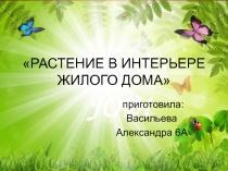РАСТЕНИЕ В ИНТЕРЬЕРЕ ЖИЛОГО ДОМА