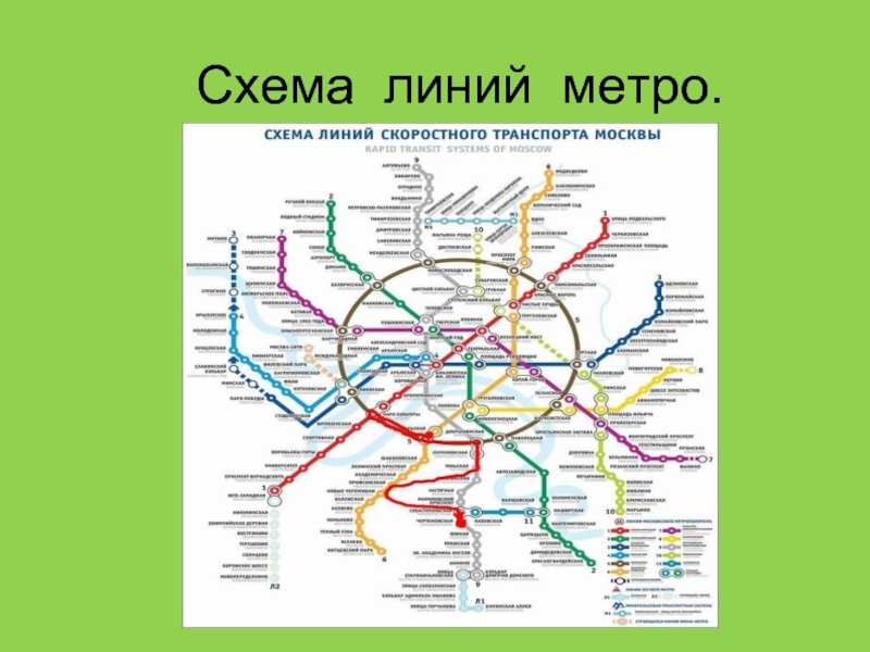 Линия 7. Схема линии метро Московского метрополитена. Название веток Московского метрополитена. Карта метро Москвы с названиями линий. Схема метро Москвы с названиями линий.