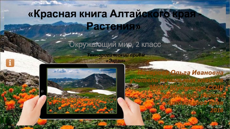 Красная книга Алтайского края - Растения