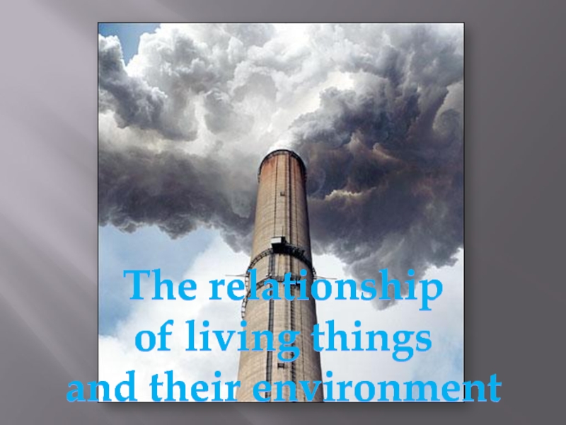 The relationship of living thingsand their environmentThe relationship of living thingsand their environment