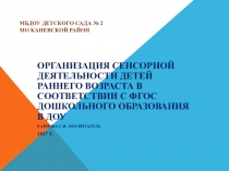 Организация сенсорной деятельности детей раннего возраста в соответствии с ФГОС дошкольного образования в ДОУ