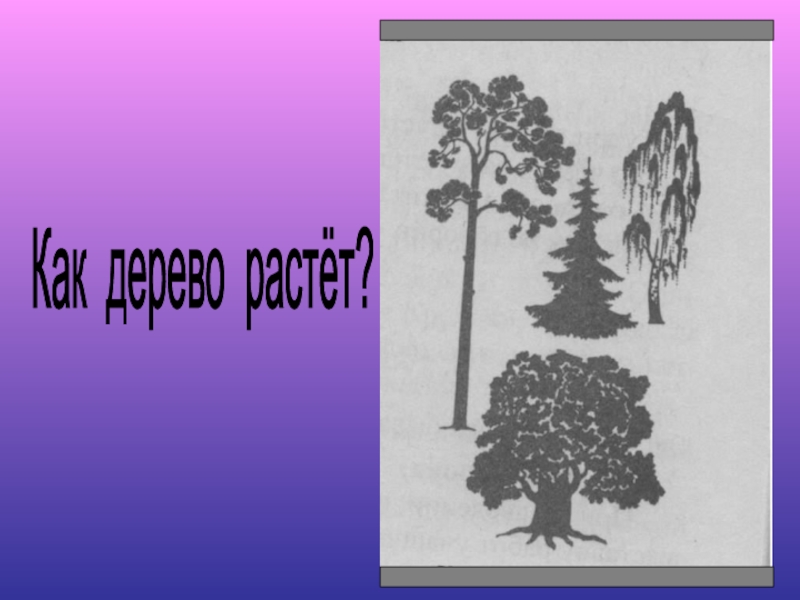 Смотрю как деревья растут. Выразительные возможности графических материалов 2 класс. Как долго растут деревья. Что выше дерева растёт в каких произведениях встречается.