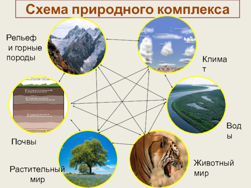 Описание природного комплекса москвы по плану