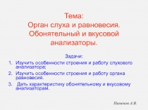 Тема: Орган слуха и равновесия. Обонятельный и вкусовой