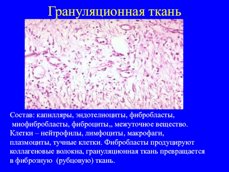 Стоковые фотографии по запросу Грануляционная ткань