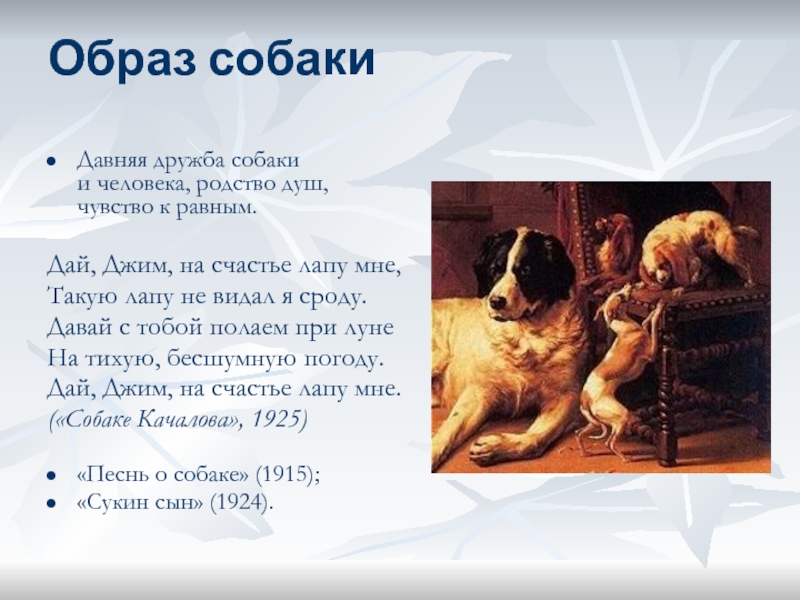 Такую лапу не видал я сроду. Стихотворение собаке Качалова. Стих Сергея Есенина собаке Качалова. Дай Бим на счастье лапу.