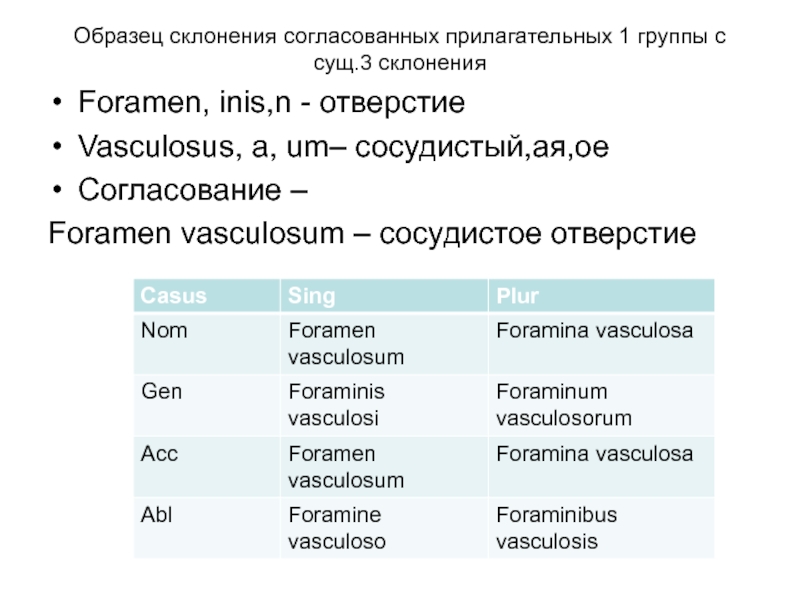 Образец склонения согласованных прилагательных 1 группы с сущ.3 склоненияForamen, inis,n - отверстиеVasculosus, a, um– сосудистый,ая,оеСогласование –Foramen vasculosum