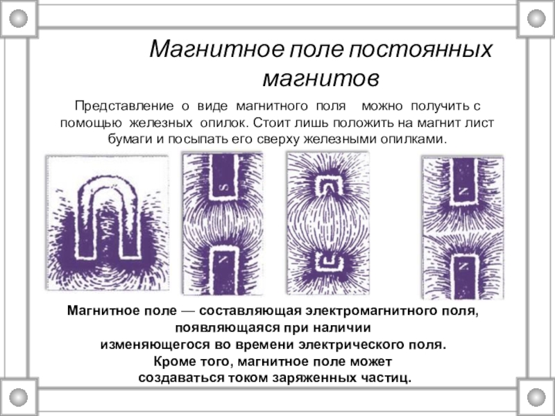 Составляющие магнитного поля. Магнитное поле постоянного магнита. Магнитное поле и его Графическое изображение. Кто видит магнитные поля.