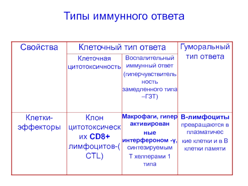 Схема иммуного ответа