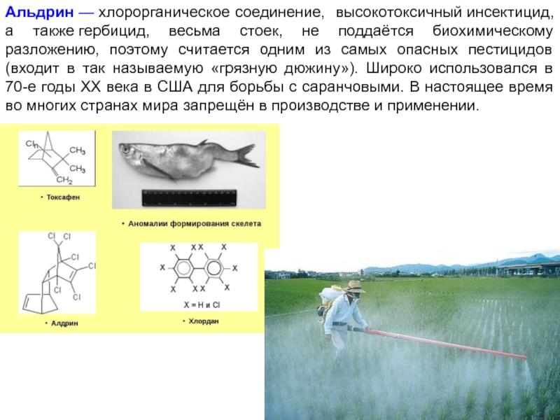 Определение хлорорганических соединений. Пестициды формула химическая. Инсектицид Альдрин. Хлорорганические пестициды формулы. Альдрин пестицид.