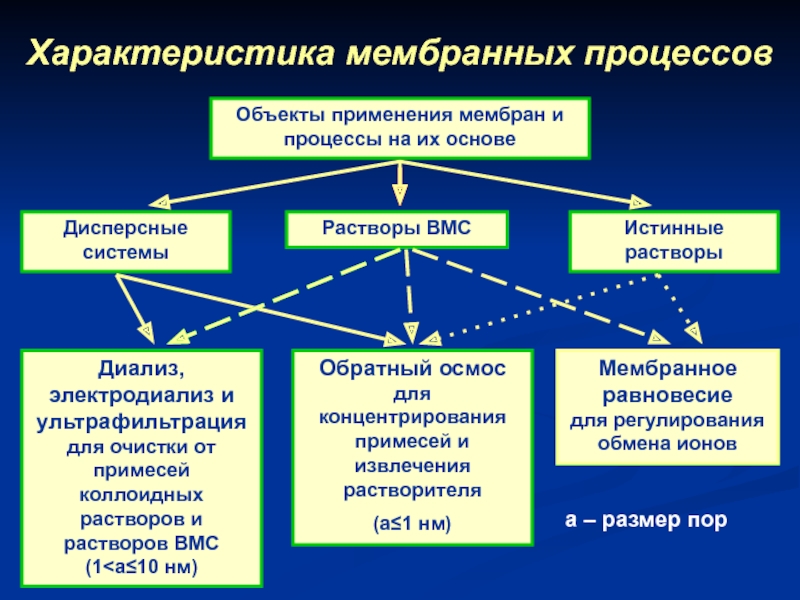 Мембрана процесс. Классификация мембранных процессов. Характеристика мембранных процессов. Основные понятия и определения мембранных процессов. Мембранные процессы кратко.