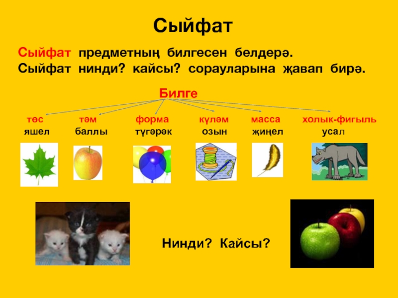 План конспект сыйфат