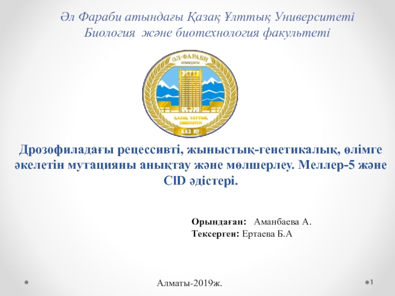 Презентация Дрозофиладағы рецессивті, жыныстық-генетикалық, өлімге әкелетін мутацияны