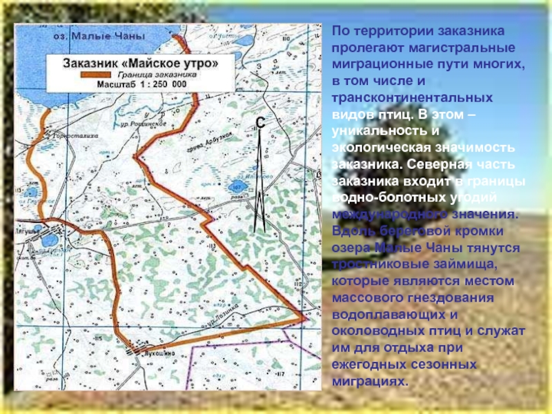 Заповедники новосибирской области презентация