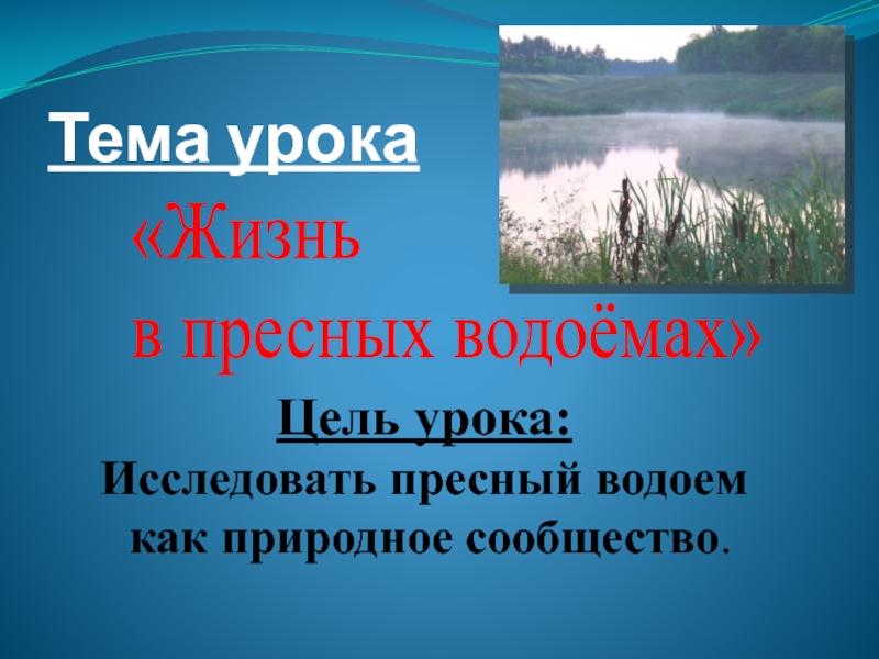 Проект на тему жизнь в пресных водах 4 класс по окружающему миру