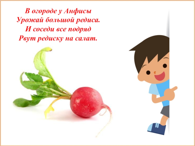 Расти большой не будь. Стишок про редиску детский. Загадка про редиску. Стихи про редиску для детей. Загадка про редиску для детей.