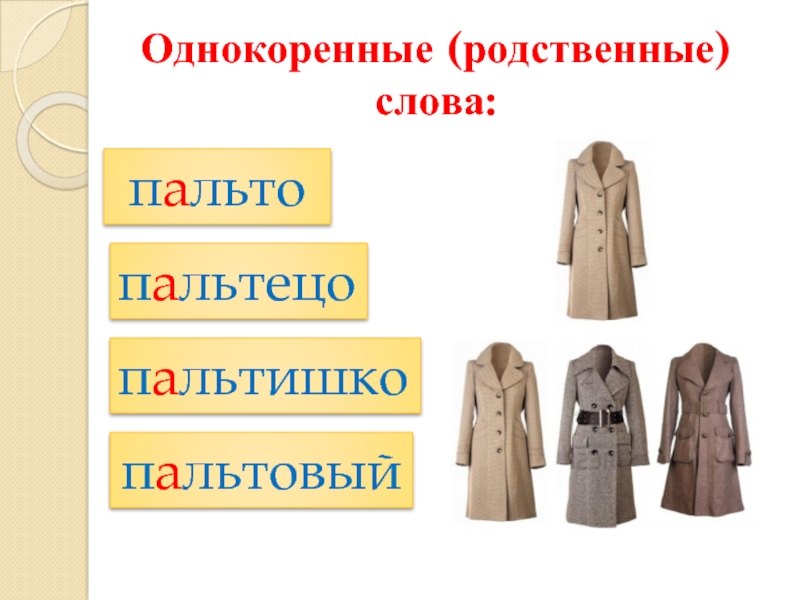 Значение слова пальто