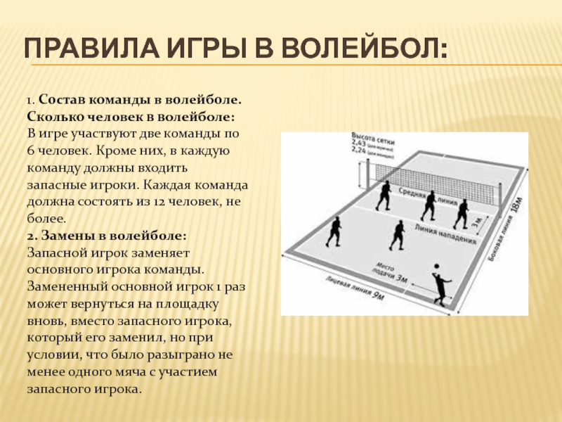 Правили волейбола. Правила игры в волейбол. Состав команды в волейболе. Сколько человек в волейбольной команде. Состав команды по волейболу сколько человек.