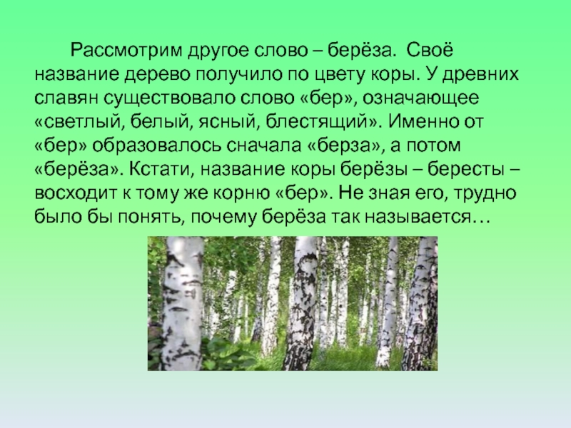 Разбор слова береза 3 класс. Предложение со словом береза. Этимология слова береза. Жанр текста береза.