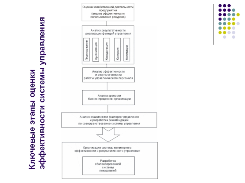 Реферат: Системный анализ организации и разработка рекомендаций по совершенствованию управления