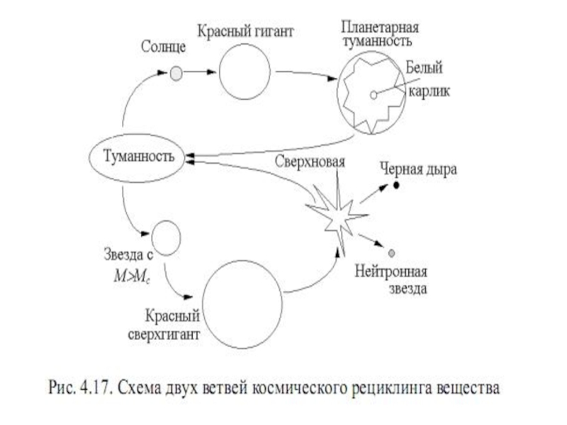 Презентация на тему белые карлики