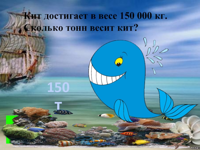 Кит достигает в весе 150 000 кг. Сколько тонн весит кит?150т