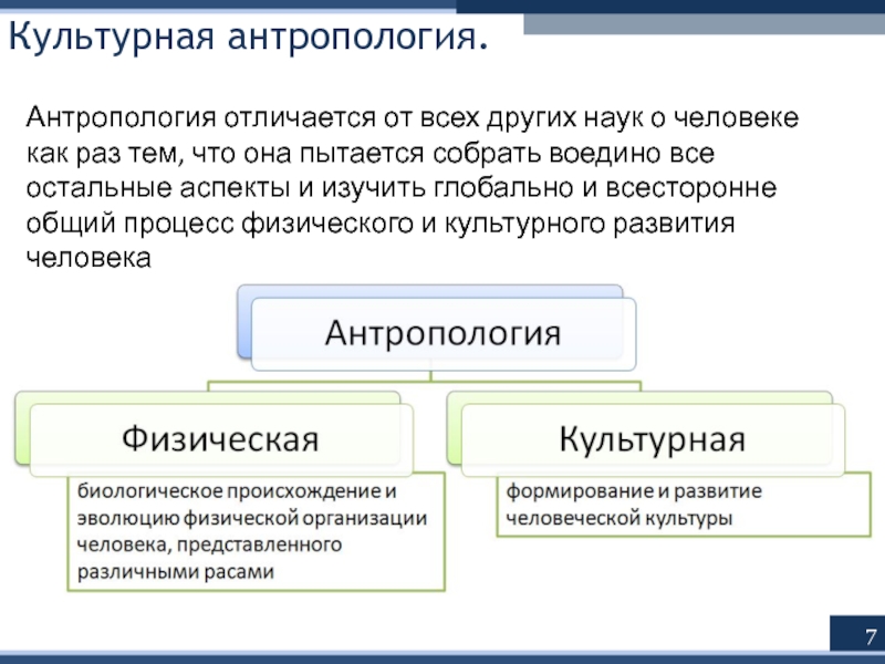 Культурная антропология исследует