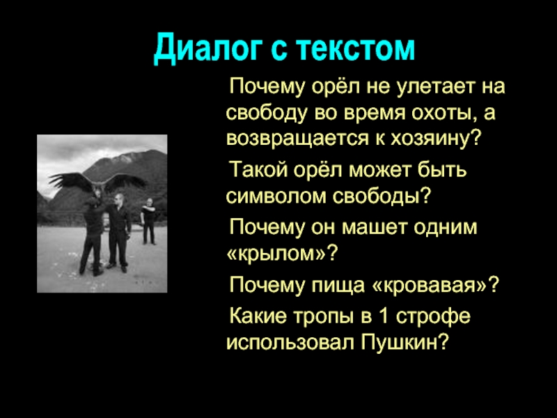 Стих узник. Узник Пушкин. Стихотворение Пушкина узник. Символы свободы в стихотворениях.