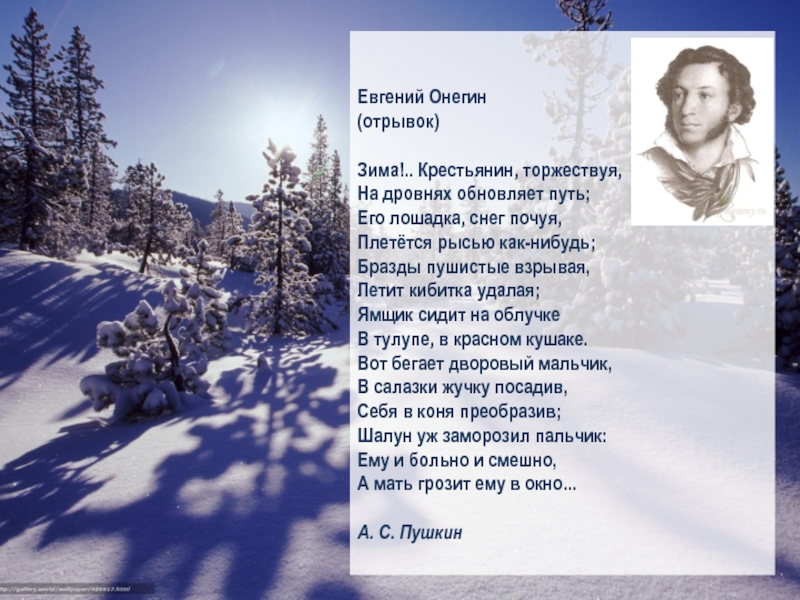 Зимнее стихотворение отрывки. Стихотворение Пушкина зима крестьянин. Зима крестьянин.