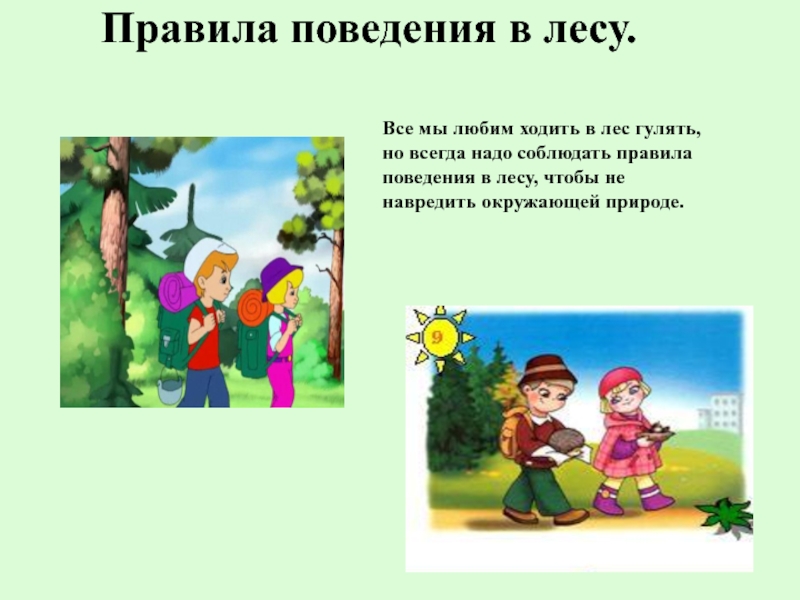 Ходит ходит а в дом не заходит. Правила поведения в Дему. ПРАВИЛАПОВЕДЕНИЕ В лесу. Правила поведения в лесу. Соблюдай правила поведения в лесу.