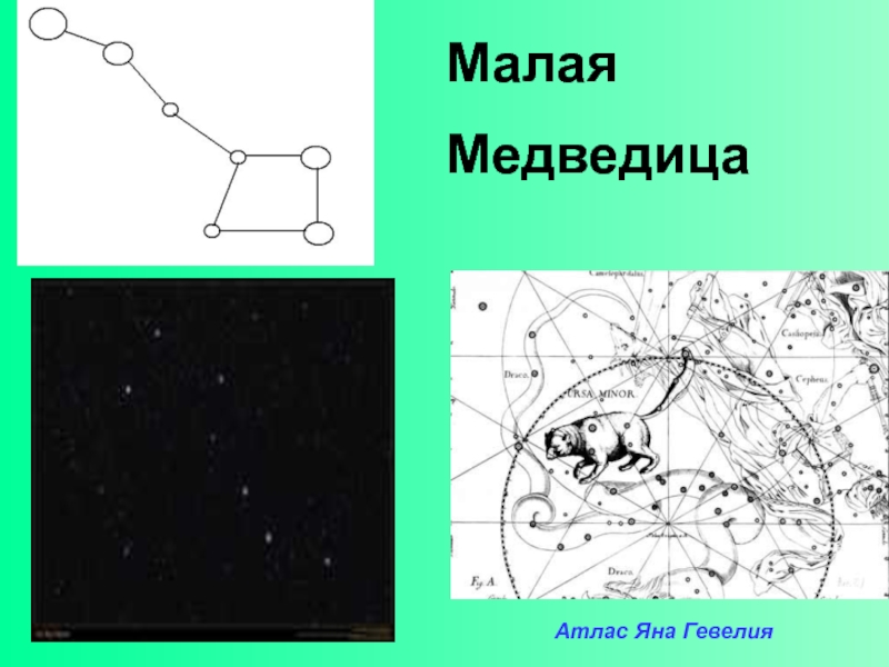 Большая медведица карта