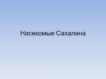 Насекомые Сахалина