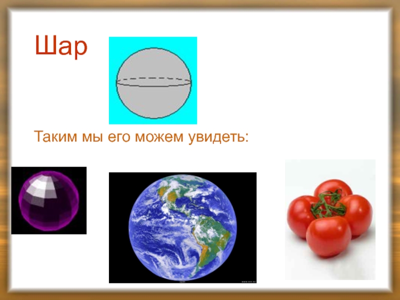 Куб брус шар 5 класс 8 вид презентация