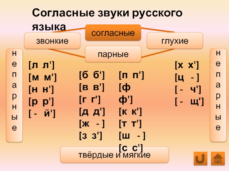 Согласные звуки русского языка[л л'] [м м'][н н'][р р'][ -  й'] согласныепарныезвонкиеглухиетвёрдые и мягкиенепарныенепарные[х х'] [ц