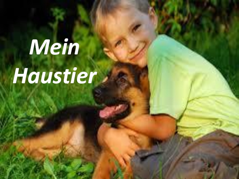 Презентация Mein Haustier